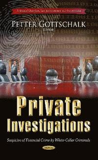 bokomslag Private Investigations