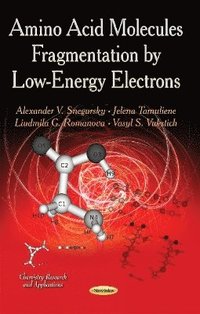 bokomslag Amino Acid Molecules Fragmentation by Low-Energy Electrons