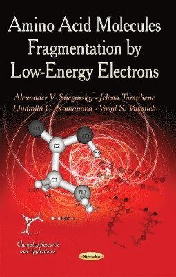 bokomslag Amino Acid Molecules Fragmentation by Low-Energy Electrons