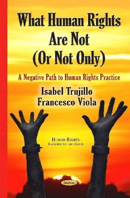 bokomslag What Human Rights Are Not (or Not Only)