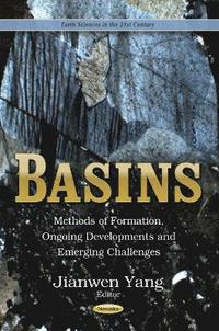 bokomslag Basins