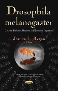 bokomslag Drosophila Melanogaster