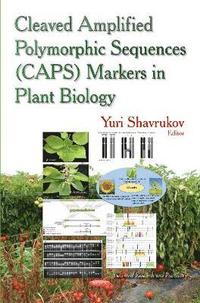 bokomslag Cleaved Amplified Polymorphic Sequence (CAPS) Markers in Plant Biology