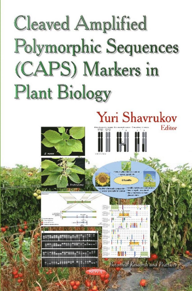 Yuri Shavrukov - Cleaved Amplified Polymorphic Sequence (CAPS) Markers in Plant Biology, Inbunden