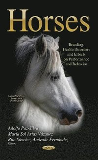 bokomslag Horses
