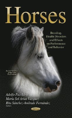 bokomslag Horses