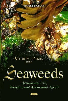 bokomslag Seaweeds