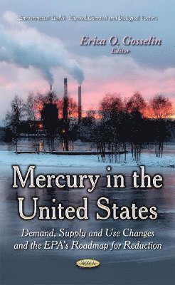 bokomslag Mercury in the United States