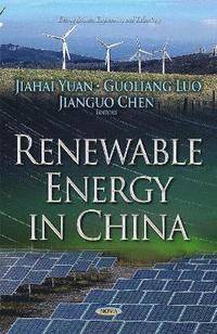 bokomslag Renewable Energy in China