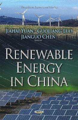 bokomslag Renewable Energy in China