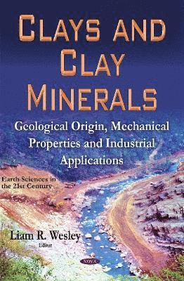 bokomslag Clays & Clay Minerals