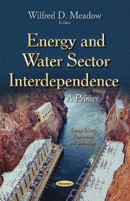 bokomslag Energy & Water Sector Interdependence