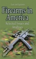 bokomslag Firearms in America
