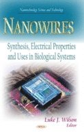 bokomslag Nanowires