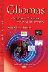 bokomslag Gliomas