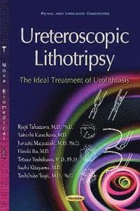 bokomslag Ureteroscopic Lithotripsy