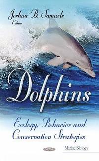 bokomslag Dolphins