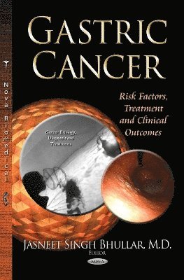 bokomslag Gastric Cancer