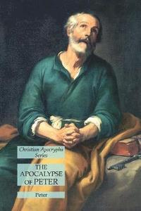 bokomslag Apocalypse of Peter