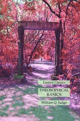bokomslag Theosophical Basics