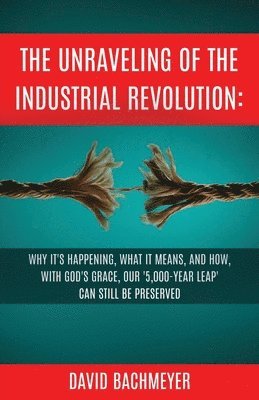 bokomslag Unraveling of the Industrial Revolution