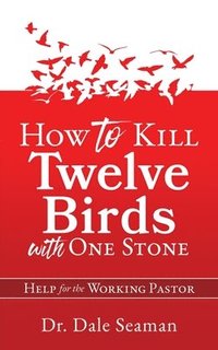 bokomslag How to Kill Twelve Birds with One Stone