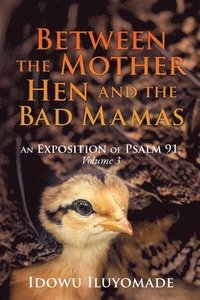 bokomslag Between the Mother Hen and the Bad Mamas