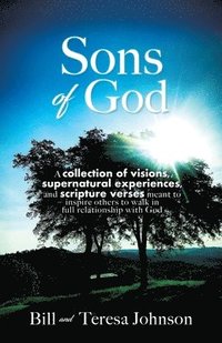 bokomslag Sons of God: A collection of visions, supernatural experiences, and scripture verses meant to inspire others to walk in full relationship with God