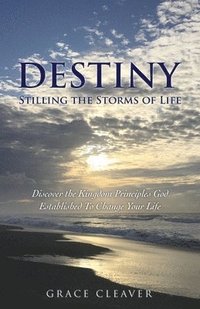 bokomslag Destiny Stilling the Storms of Life