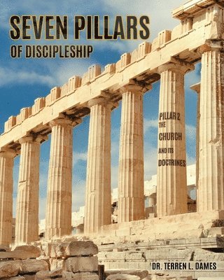 bokomslag Seven Pillars of Discipleship