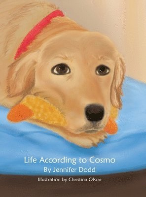 Life According to Cosmo 1