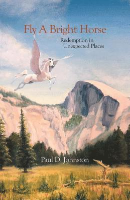 Paul D Johnston, Paul D. Johnston - Fly a Bright Horse, Häftad