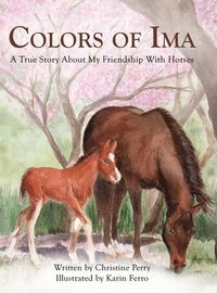 bokomslag Colors of Ima