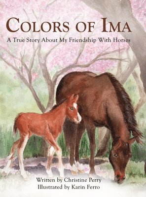 Colors of Ima 1