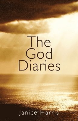bokomslag The God Diaries