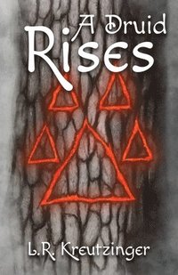 bokomslag Druid Rises