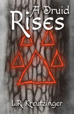 bokomslag Druid Rises
