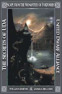 bokomslag Secrets of UDA