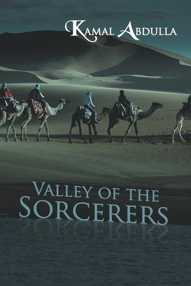 bokomslag Valley of the Sorcerers