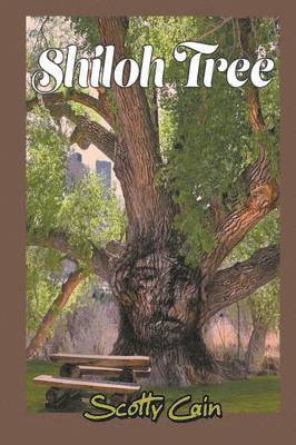 bokomslag Shiloh Tree