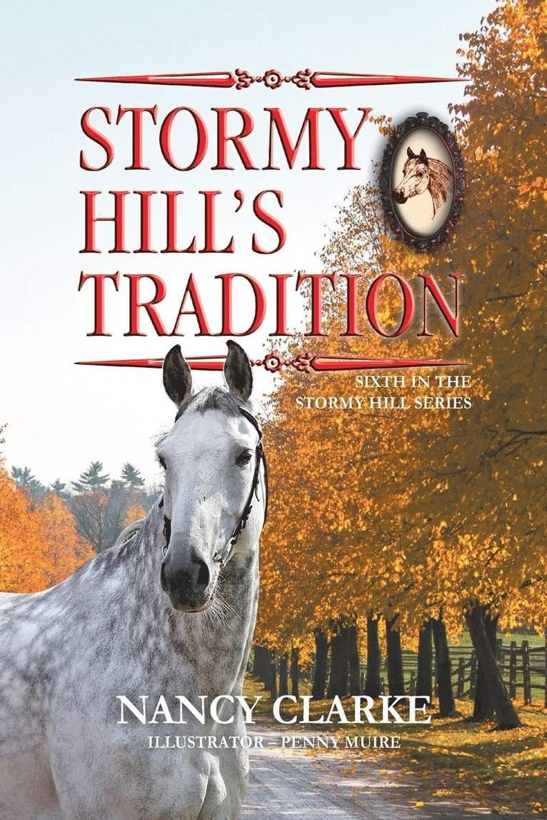 Stormy Hill's Tradition 1