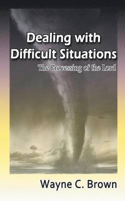Wayne Brown - Dealing with Difficult Situations, Häftad