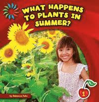 Rebecca Felix - What Happens to Plants in Summer?, Häftad. Tillgänglighet: Tillfälligt slut
