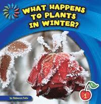 Rebecca Felix - What Happens to Plants in Winter?, Häftad. Tillgänglighet: Tillfälligt slut