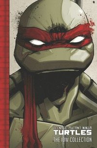 bokomslag Teenage Mutant Ninja Turtles: The IDW Collection Volume 1