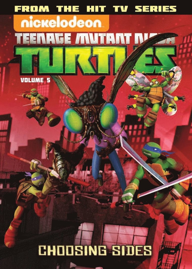 Teenage Mutant Ninja Turtles Animated Volume 5: Choosing Sides
