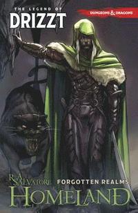 bokomslag Dungeons & Dragons: The Legend of Drizzt Volume 1 - Homeland