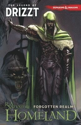 Dungeons & Dragons: The Legend of Drizzt Volume 1 - Homeland