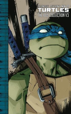 Teenage Mutant Ninja Turtles: The IDW Collection Volume 3 1