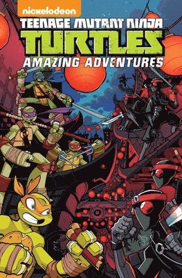 Teenage Mutant Ninja Turtles: Amazing Adventures Volume 3 1